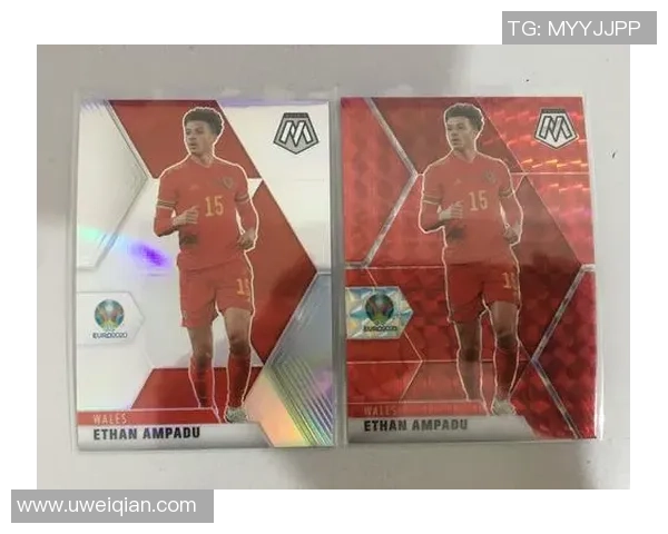 帕尼尼足球星卡是否包含球员签名及其收藏价值分析