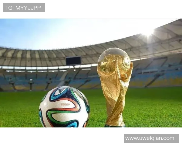 哪些国家足球队拥有众多顶级球星让人瞩目他们的辉煌表现与实力背后