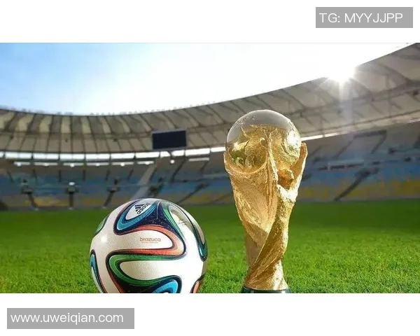 足球球星独家揭秘赛场内外奋斗故事与荣耀瞬间